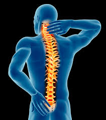 Dr Pam Chiropractic